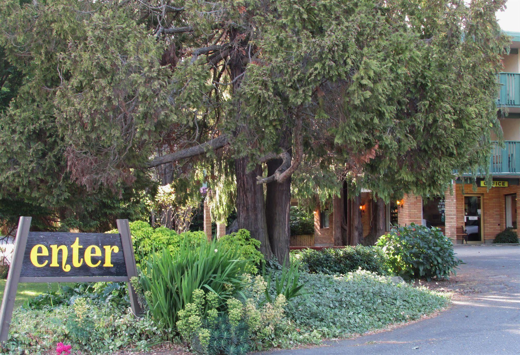 Inn Robin Hood And 3*